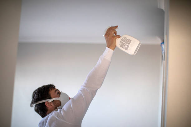 Best Local Mold Removal Service  in Allyn, WA