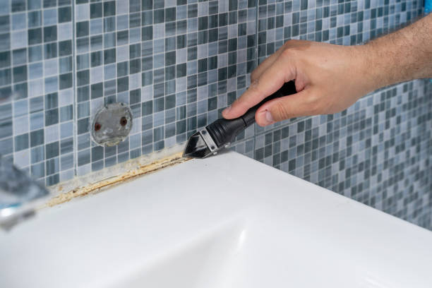 Best Attic Mold Removal  in Allyn, WA