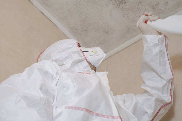 Best Commercial Mold Removal  in Allyn, WA